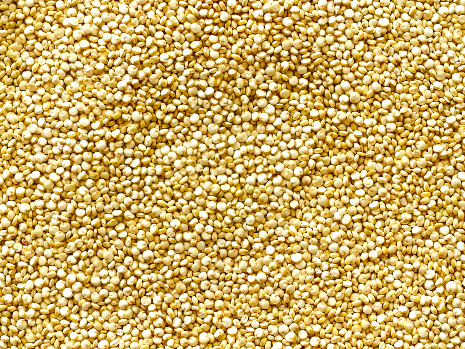 Quinoa White 1kg