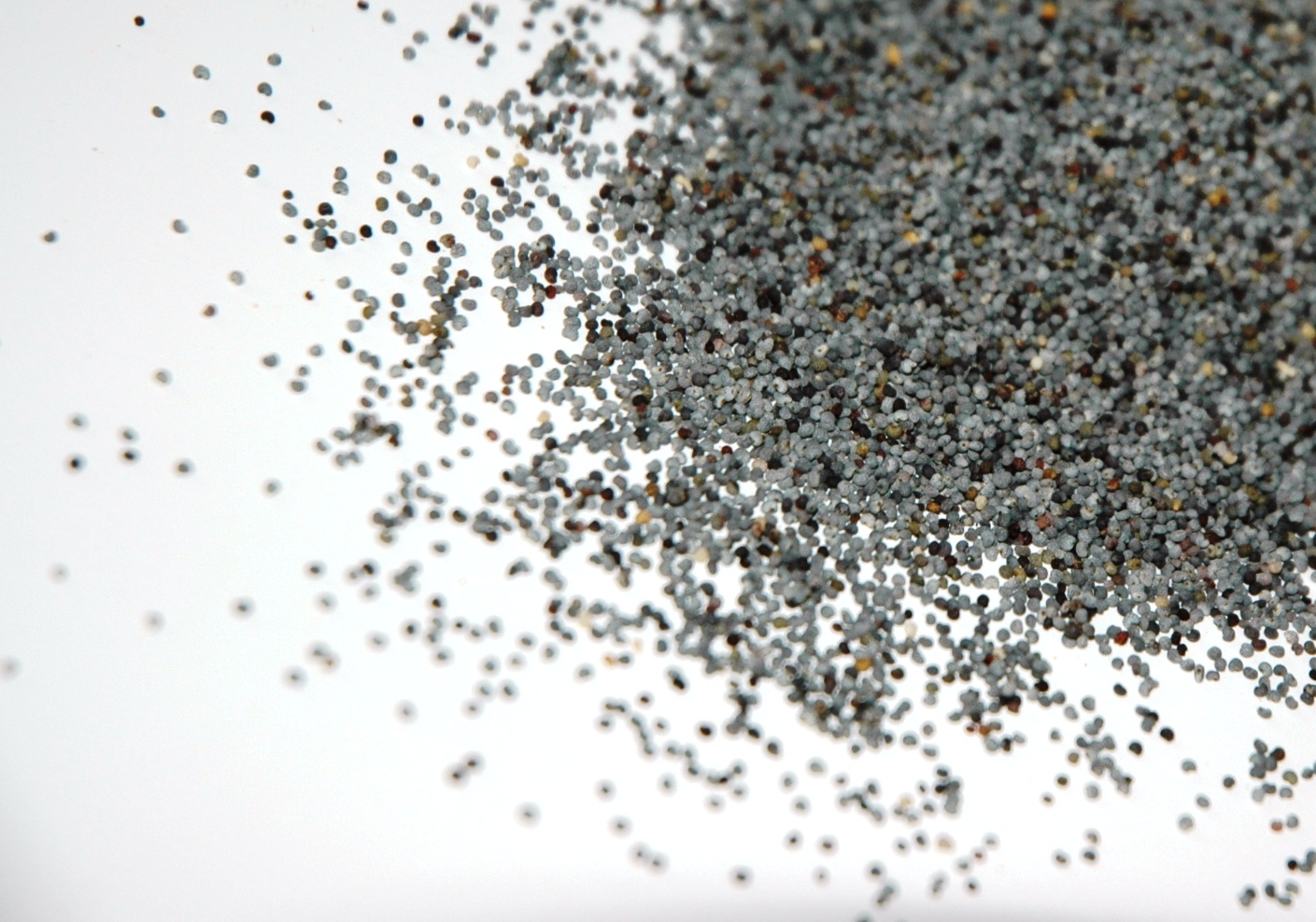 Poppy Seeds 1kg