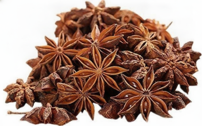 Whole Star Anise Seed 1kg