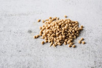 Choc Chips Caramel 1kg